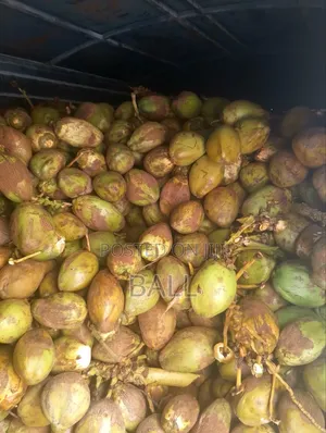 Coconut Water /Madafu