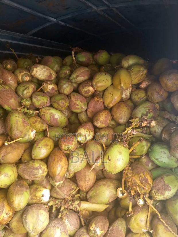 Coconut Water /Madafu - thumbnail 2