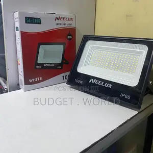 Neelux 100w Ac Led Floodlight for Home Business
