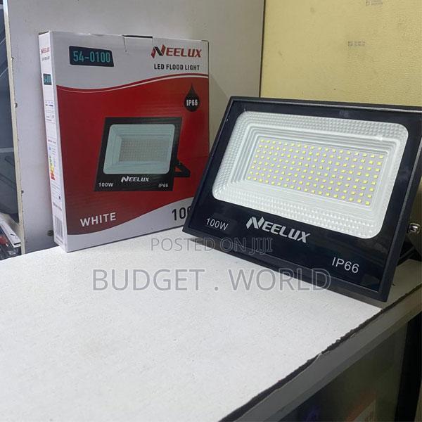 Neelux 100w Ac Led Floodlight for Home Business