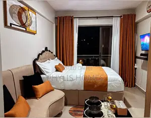 Fully Furnished Studio South B Area