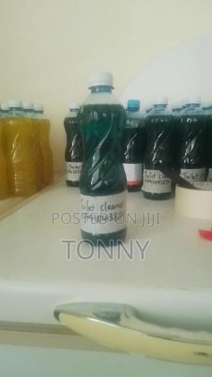 Toilet Cleaner - main view