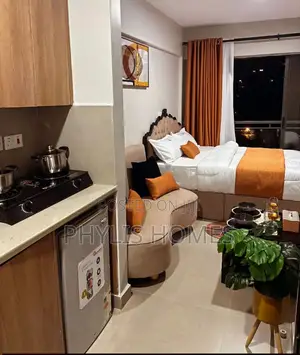Fully Furnished Studio South B Area
