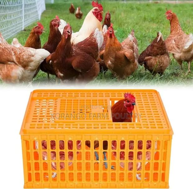 Chicken Carrier - main view