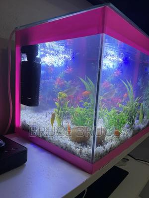 Fish Tank. - main view