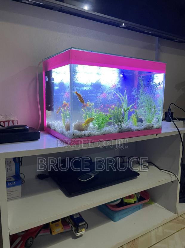 Fish Tank. - thumbnail 2