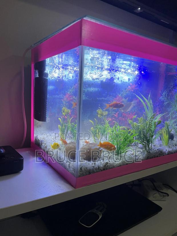 Fish Tank. - thumbnail 3