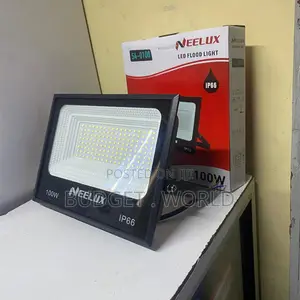Neelux 100 Watts Floodlight for Gate Perim