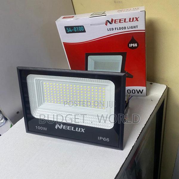 Neelux High Brightness 100w Led Floodlight