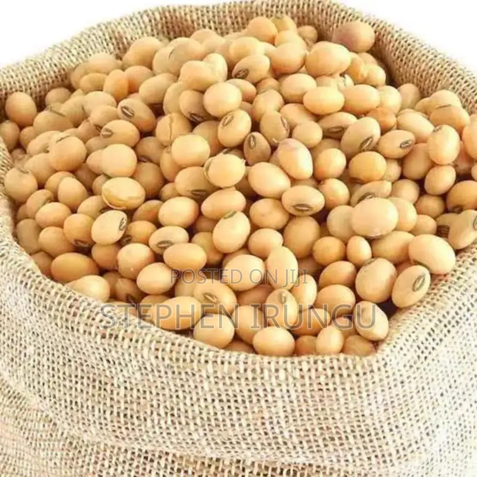 High-Protein Clean Soya Beans for Animal Feed Mixing.