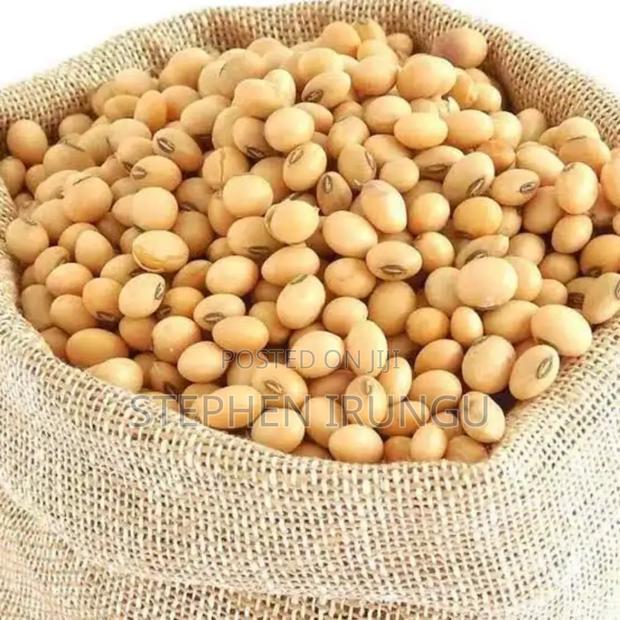 High-Protein Clean Soya Beans for Animal Feed Mixing.