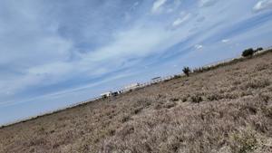 Kca Gardens -Kitengela - thumbnail 2