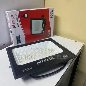 Neelux 100w Ac Led Flood Light Outdoor Security