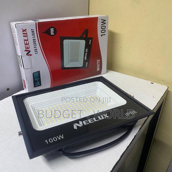 Neelux 100w Ac Led Flood Light Outdoor Security