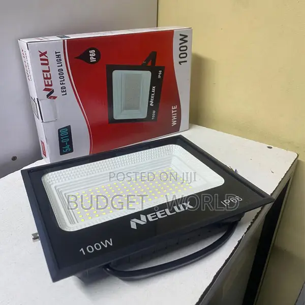 Neelux 100w Ac Led Flood Light Outdoor Security