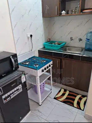 Fully Furnished BNB in South B