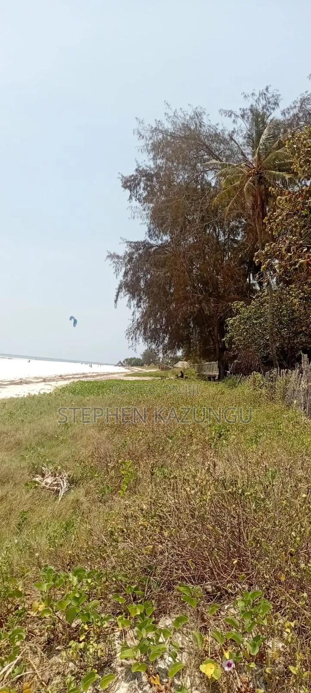 Water Touching 3.1/4 Acres Beach Plot at Galu Beach - thumbnail 12