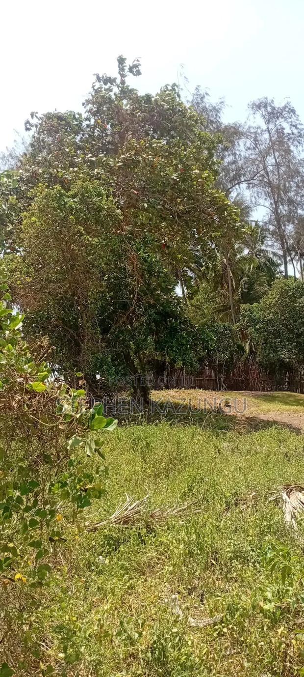 Water Touching 3.1/4 Acres Beach Plot at Galu Beach - thumbnail 6