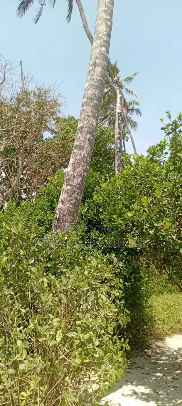 Water Touching 3.1/4 Acres Beach Plot at Galu Beach - thumbnail 8