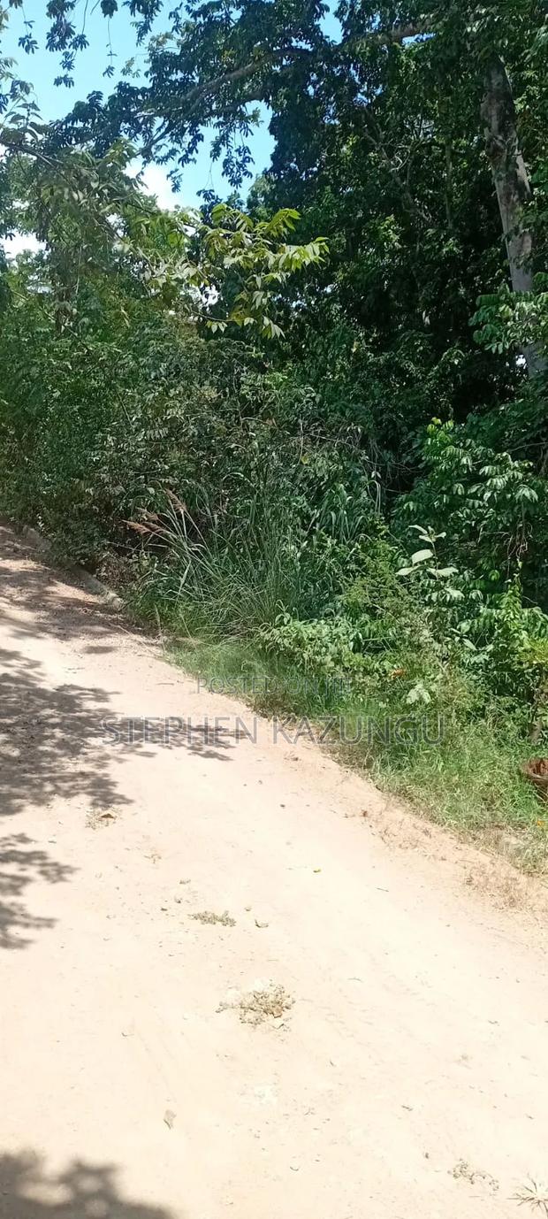 Water Touching 3.1/4 Acres Beach Plot at Galu Beach - thumbnail 11