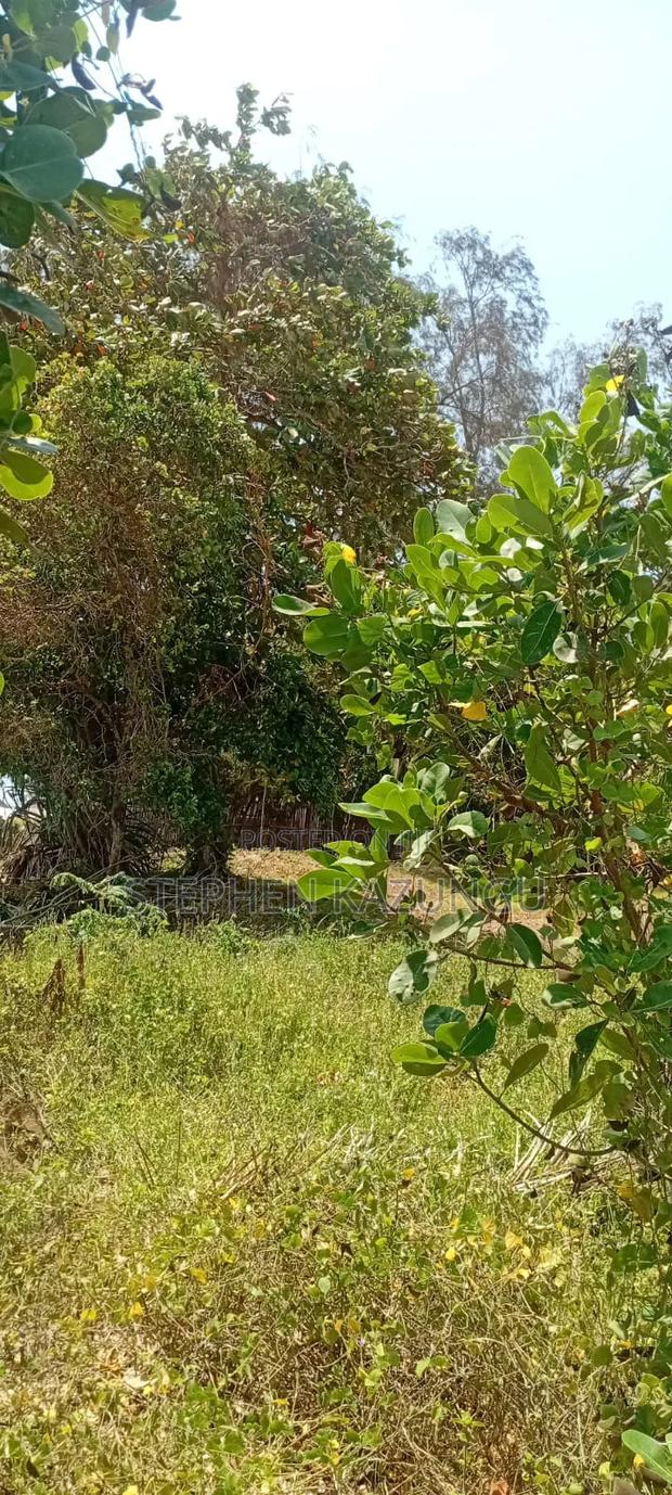 Water Touching 3.1/4 Acres Beach Plot at Galu Beach - thumbnail 3