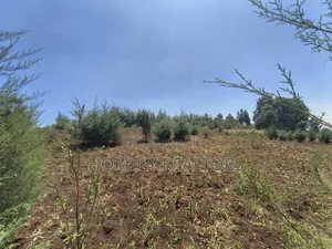 An Half Acre Plot for Sale in Kikuyu Along Ondiri-Nderi Road