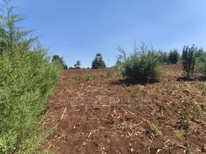 An Half Acre Plot for Sale in Kikuyu Along Ondiri-Nderi Road