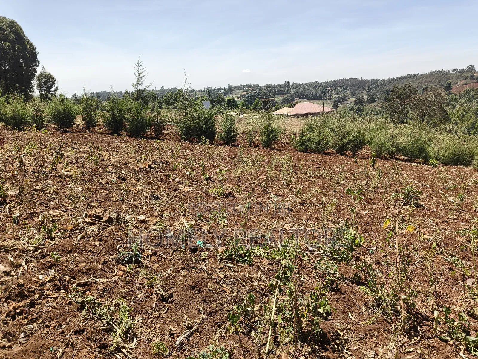 An Half Acre Plot for Sale in Kikuyu Along Ondiri-Nderi Road