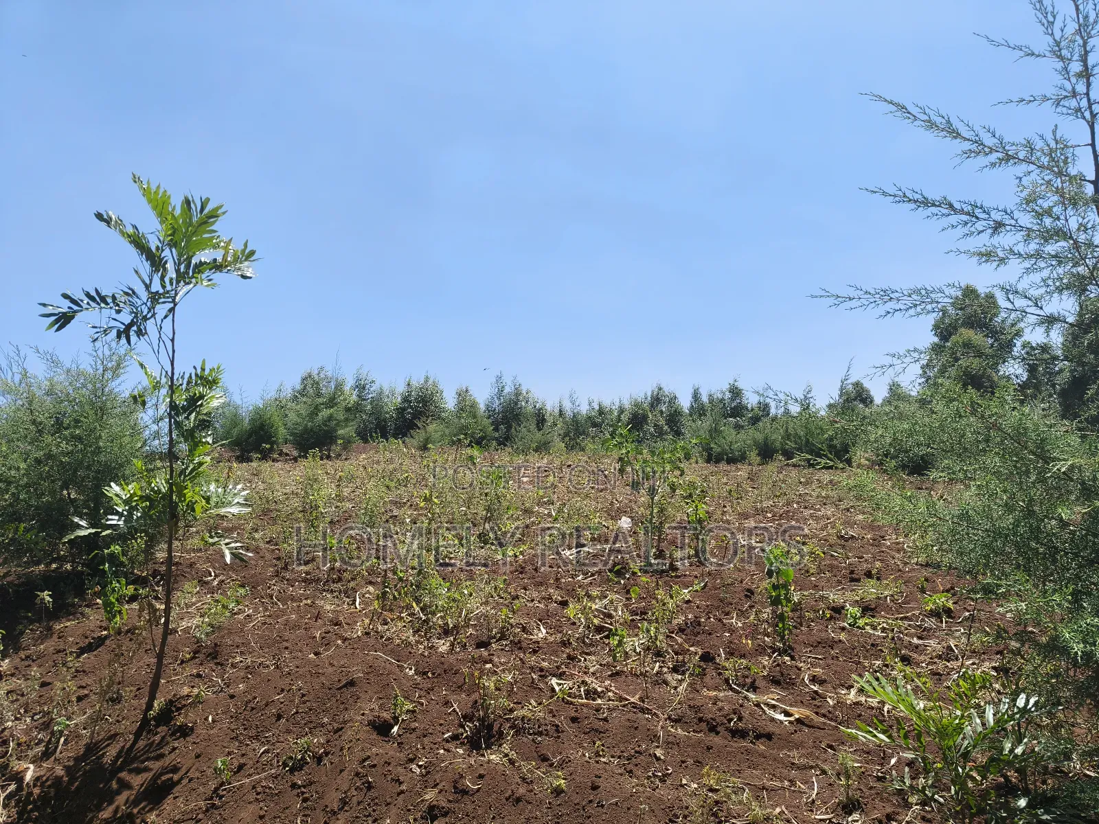 An Half Acre Plot for Sale in Kikuyu Along Ondiri-Nderi Road