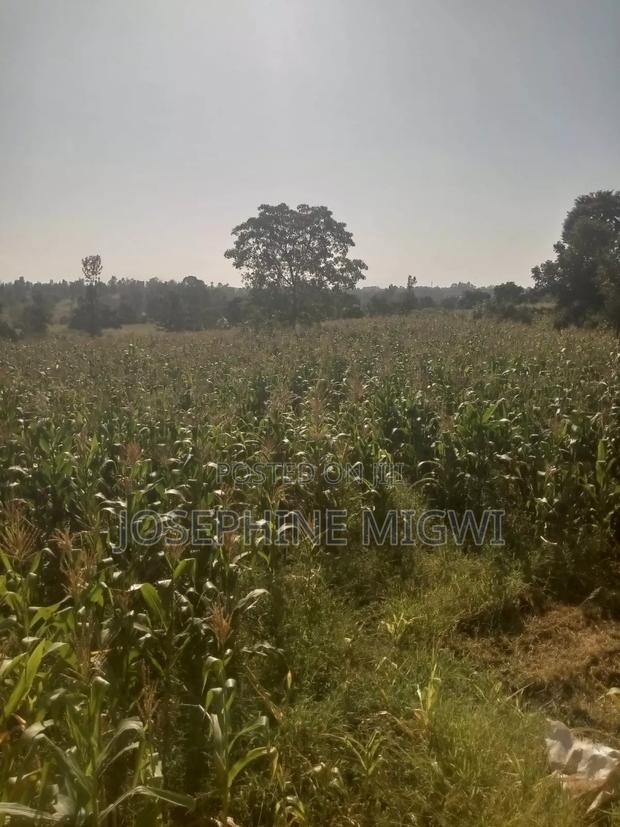 50*100 Plot In Kirinyaga - thumbnail 5