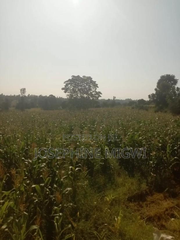 50*100 Plot In Kirinyaga - thumbnail 4