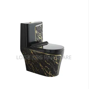 Gold and Black Toilet Available