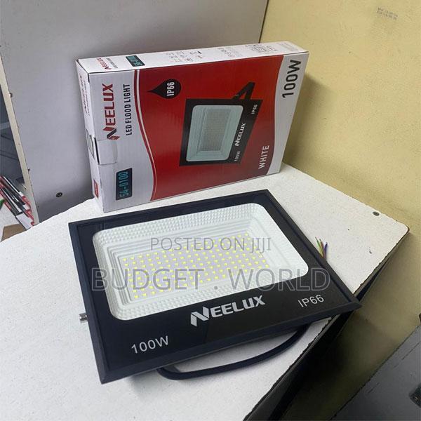 Neelux 100w Led Floodlight Strong Light Output