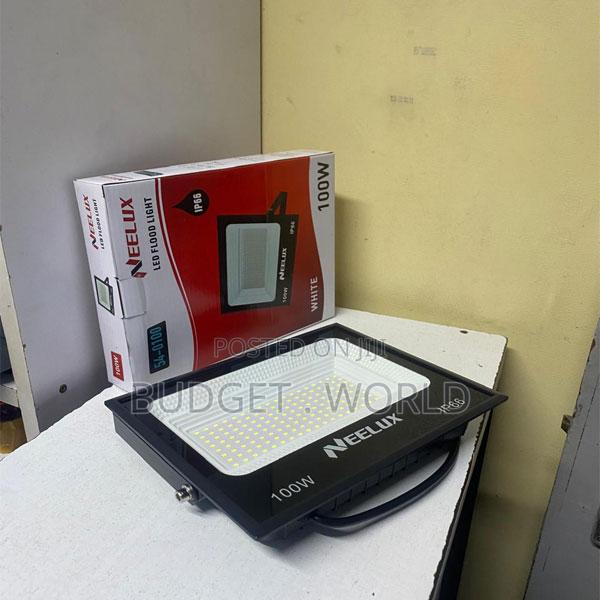 Neelux 100w Floodlight for Yard Garden
