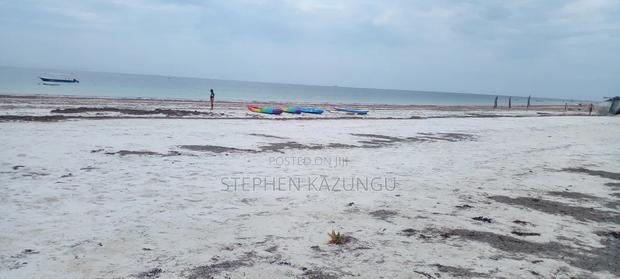 1 Acre White Sandy Beach Plot at Galu Beach in Diani. - thumbnail 6