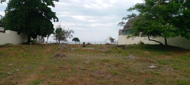 1 Acre White Sandy Beach Plot at Galu Beach in Diani. - thumbnail 7