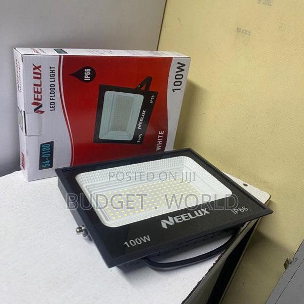 Neelux 100w Led Floodlight Reliable Outdoor Light