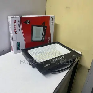 Neelux 100w Floodlight for Building Exterior