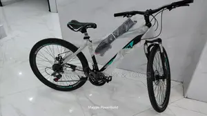 Galleven Size 26 Adult Mountain Bike
