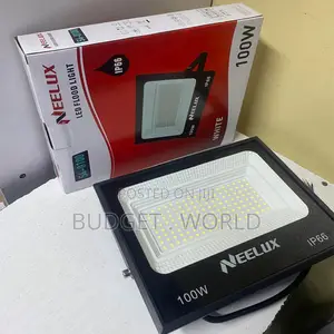 Neelux 100w Ac Led Floodlight Outdoor Performance