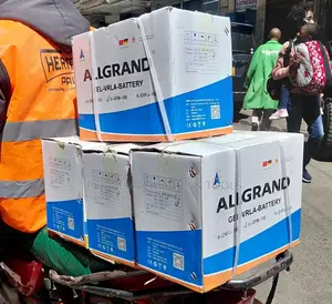 Allgrand Gel-Vrla-Batteries 100ah 12v
