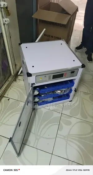 Automatic Egg Incubator/ Electric 204eggs Capacity Ac/Dc Incubator