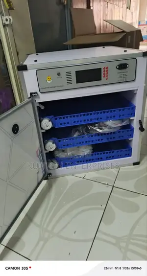 Automatic Egg Incubator/ Electric 204eggs Capacity Ac/Dc Incubator