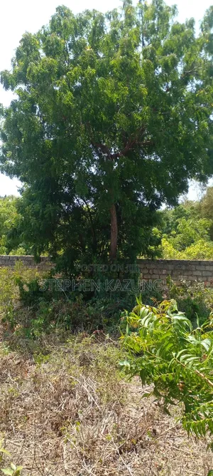 Galu Beach Plot 2 1/4 Acre Plot at a White Sandy at Galu.