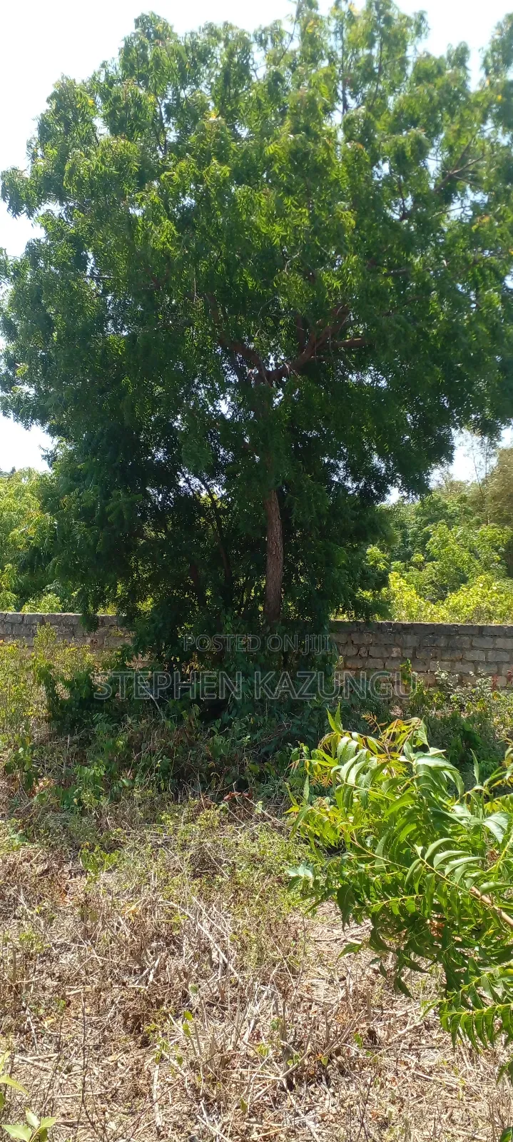 Galu Beach Plot 2 1/4 Acre Plot at a White Sandy at Galu.