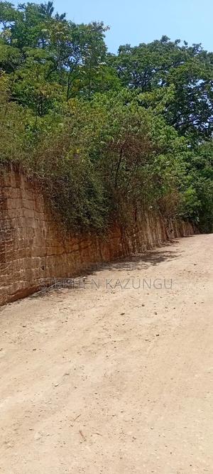 Galu Beach Plot 2.25 Acre Plot At A White Sandy At Galu. - thumbnail 2