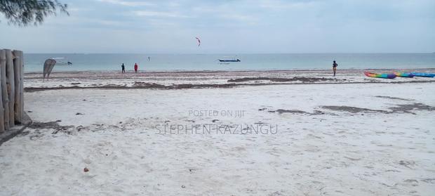 Galu Beach Plot 2.25 Acre Plot At A White Sandy At Galu. - thumbnail 4