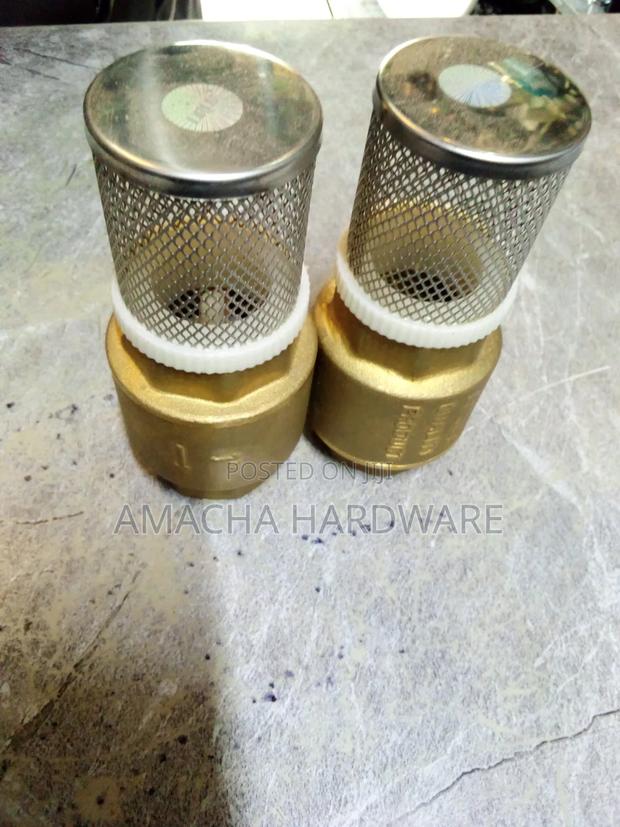 Durable 1" Foot Valve - main view