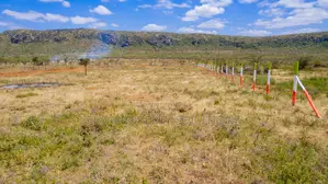 Affordable Plots in a Gated Community Concept in Nachu