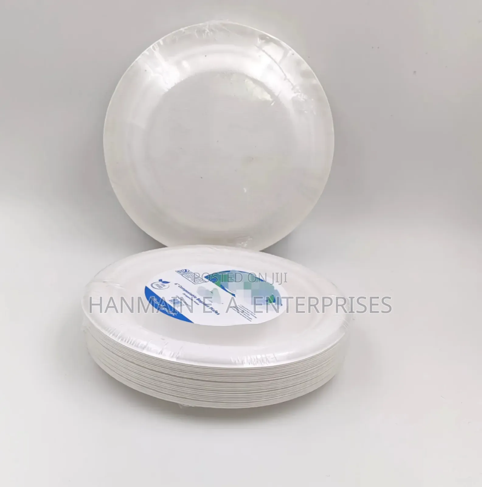 25 PCS Biodegradable Paper Plate Eco Friendly
